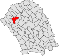 Poziţia oraşului Dorohoi în cadrul regiunii