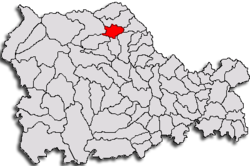 Poziţia localităţii Târgu Neamţ