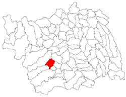 Poziţia localităţii Târgu Ocna